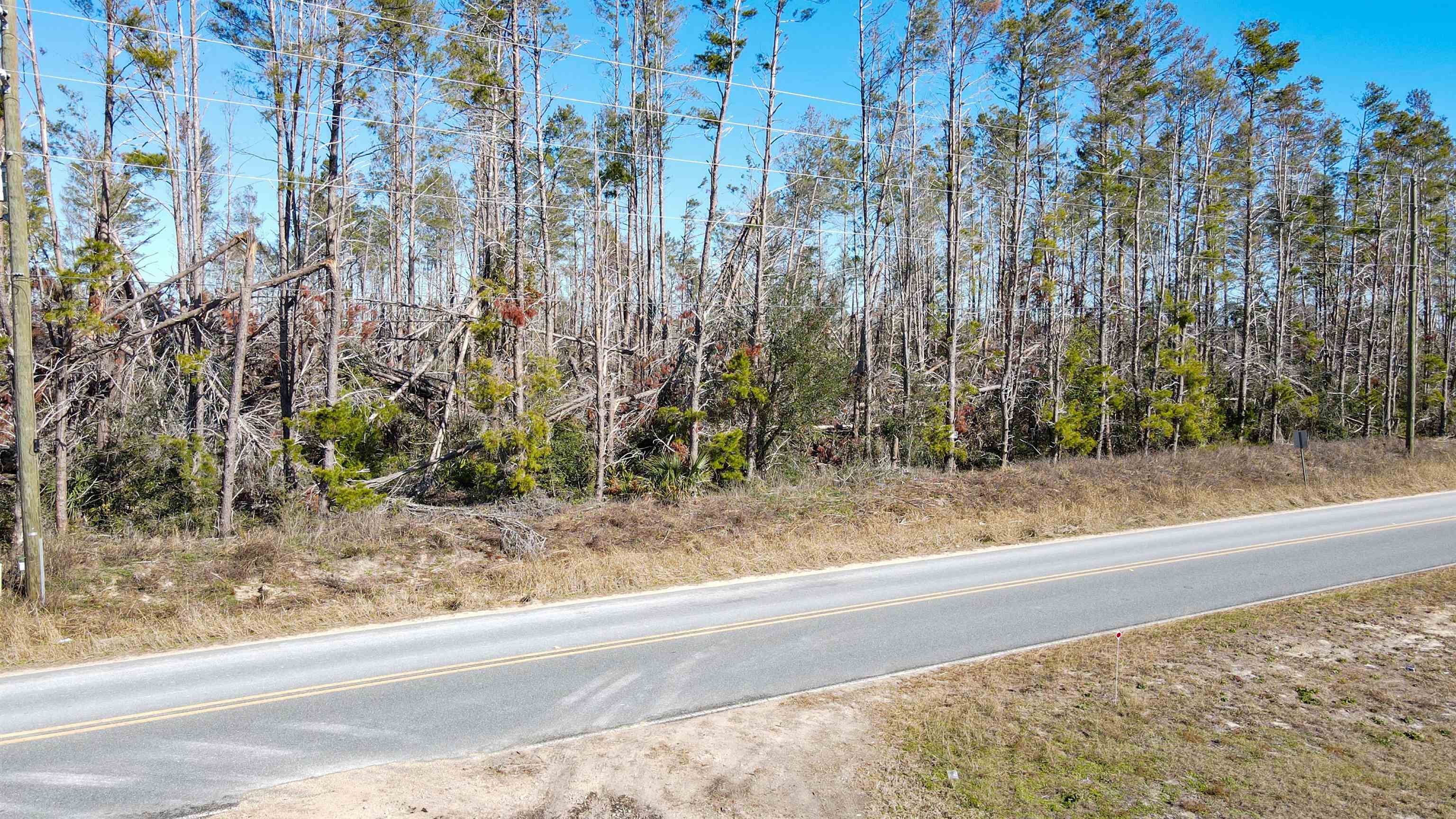 Vacant Seameadows Drive, Perry, Florida image 5