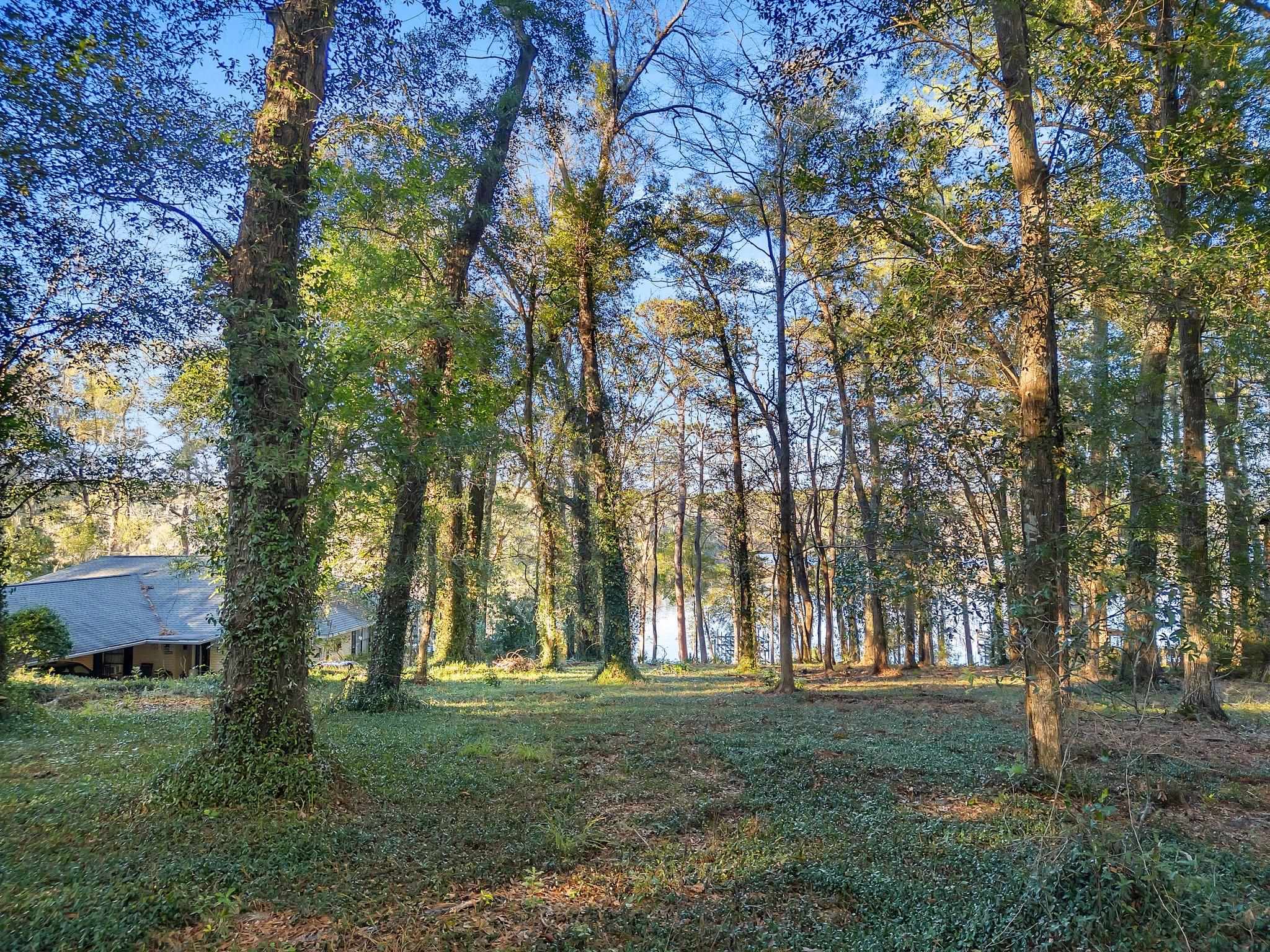 XxX Gould Road, Quincy, Florida image 1