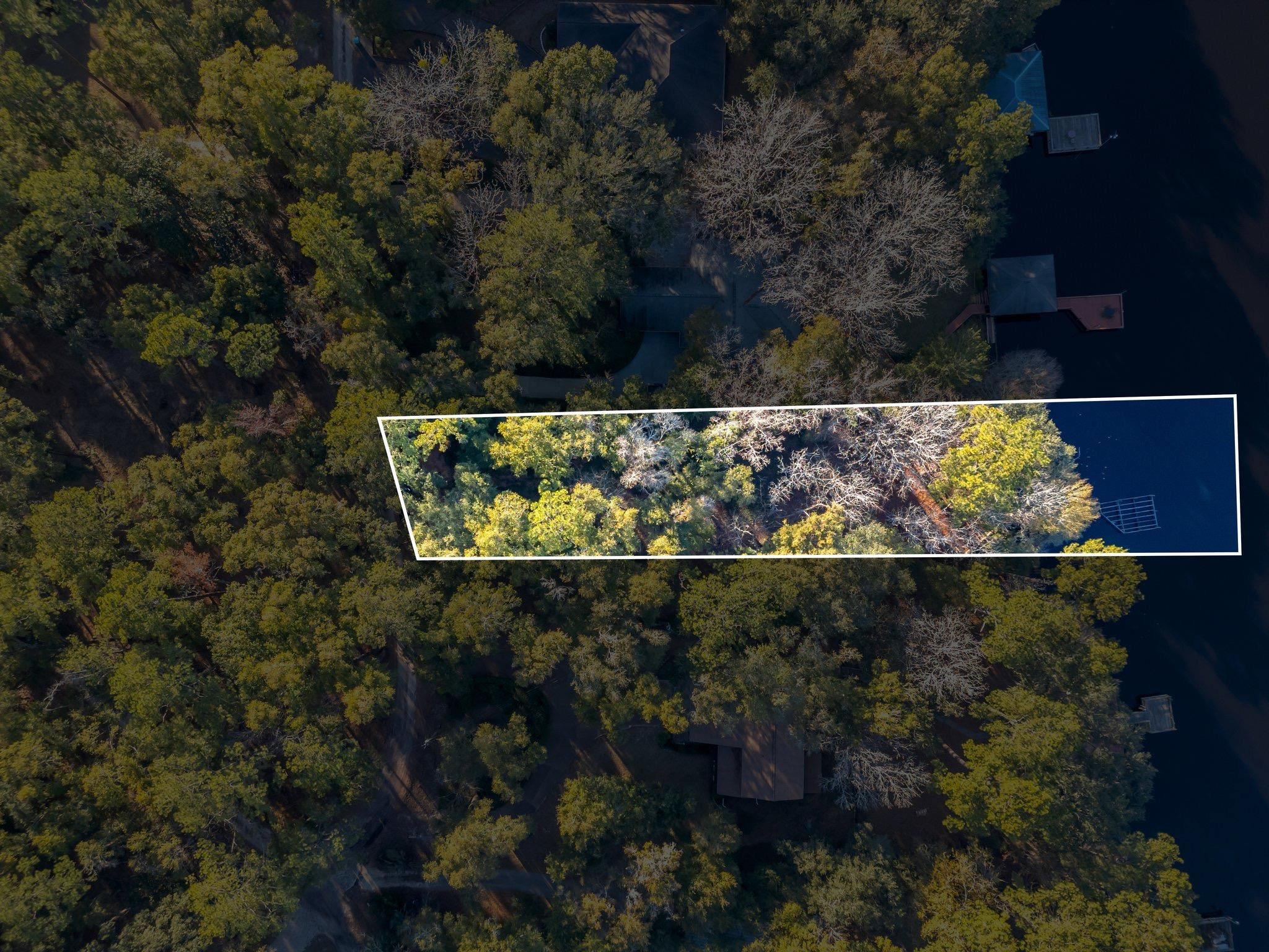 XxX Gould Road, Quincy, Florida image 4