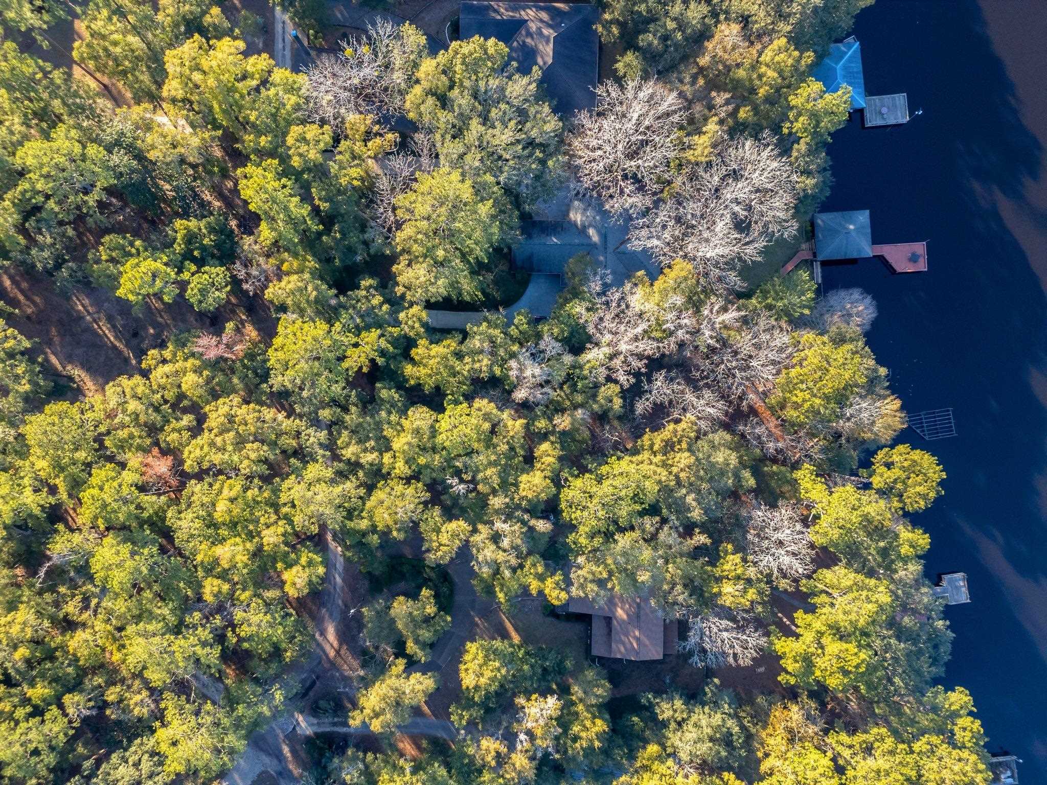 XxX Gould Road, Quincy, Florida image 6