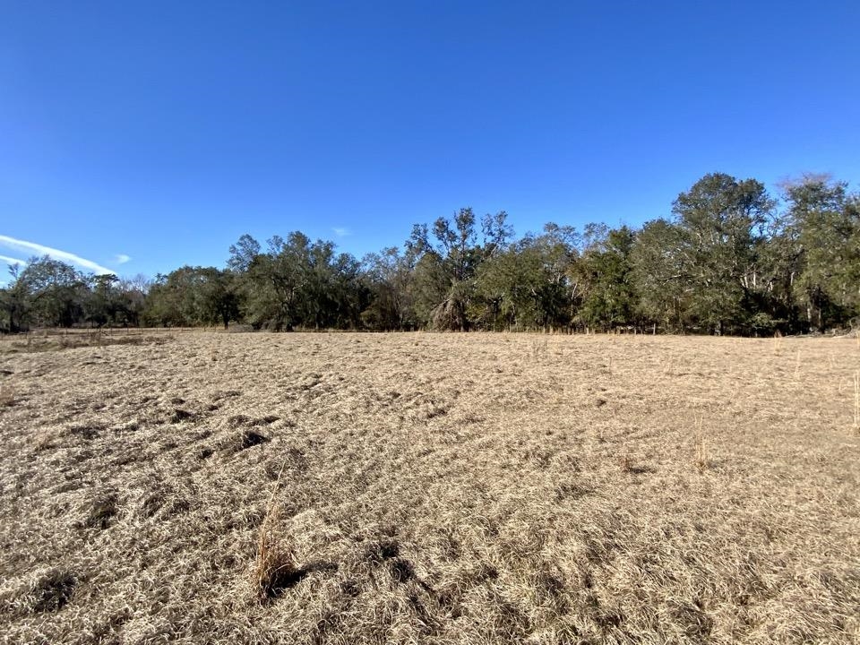 3046 SW Captain Brown Road, Madison, Florida image 1