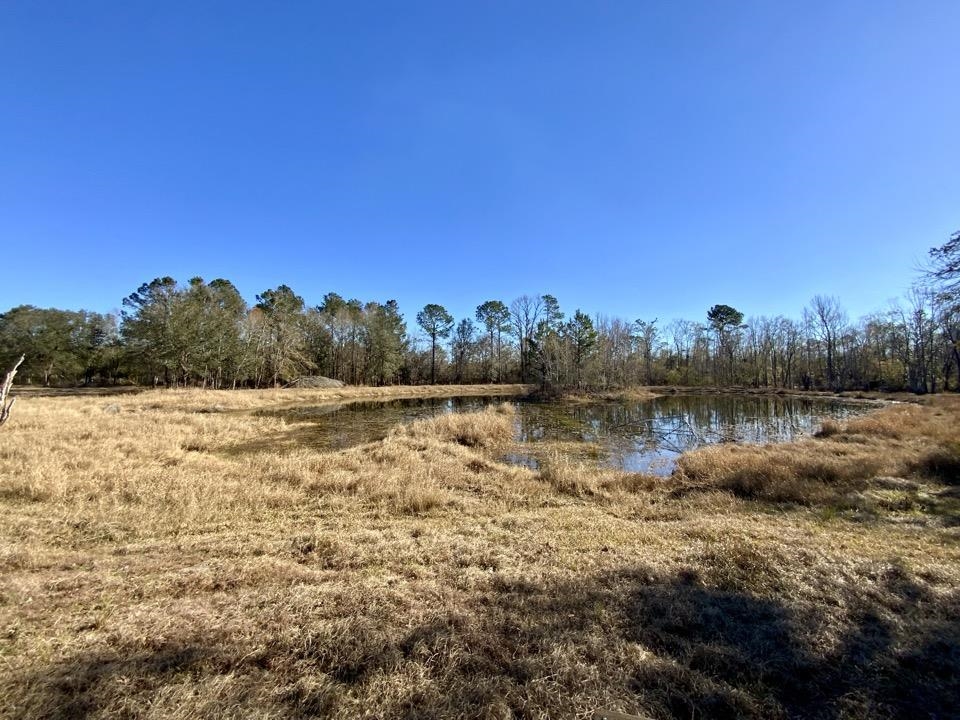 3046 SW Captain Brown Road, Madison, Texas image 11