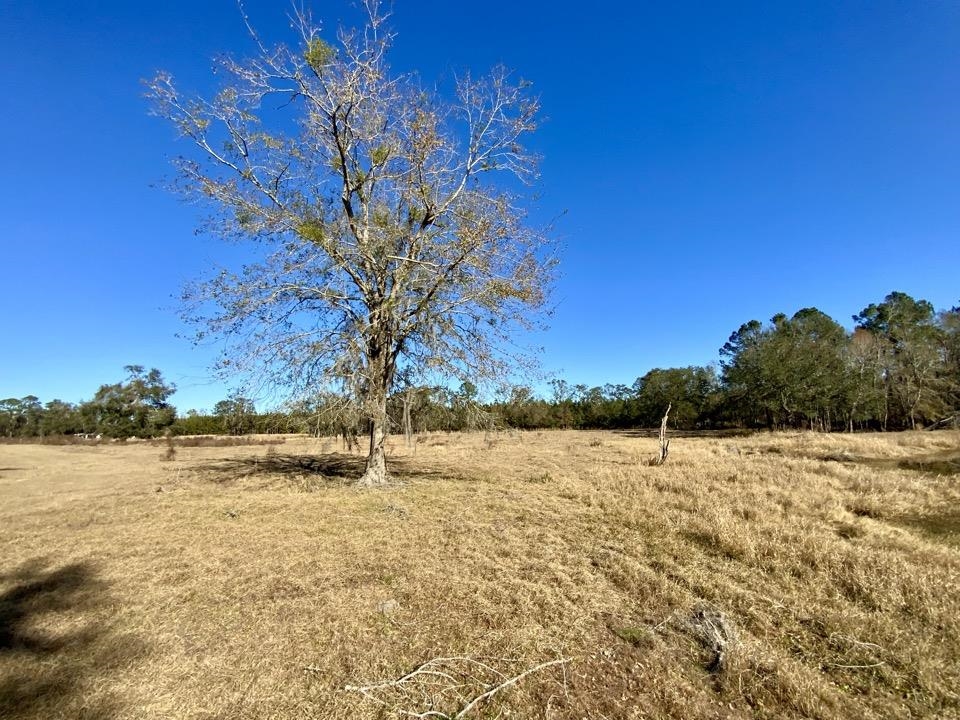 3046 SW Captain Brown Road, Madison, Texas image 12