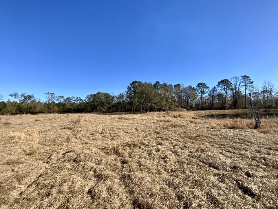 3046 SW Captain Brown Road, Madison, Florida image 14