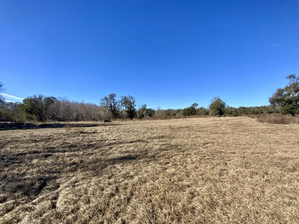 3046 SW Captain Brown Road, Madison, Texas image 15