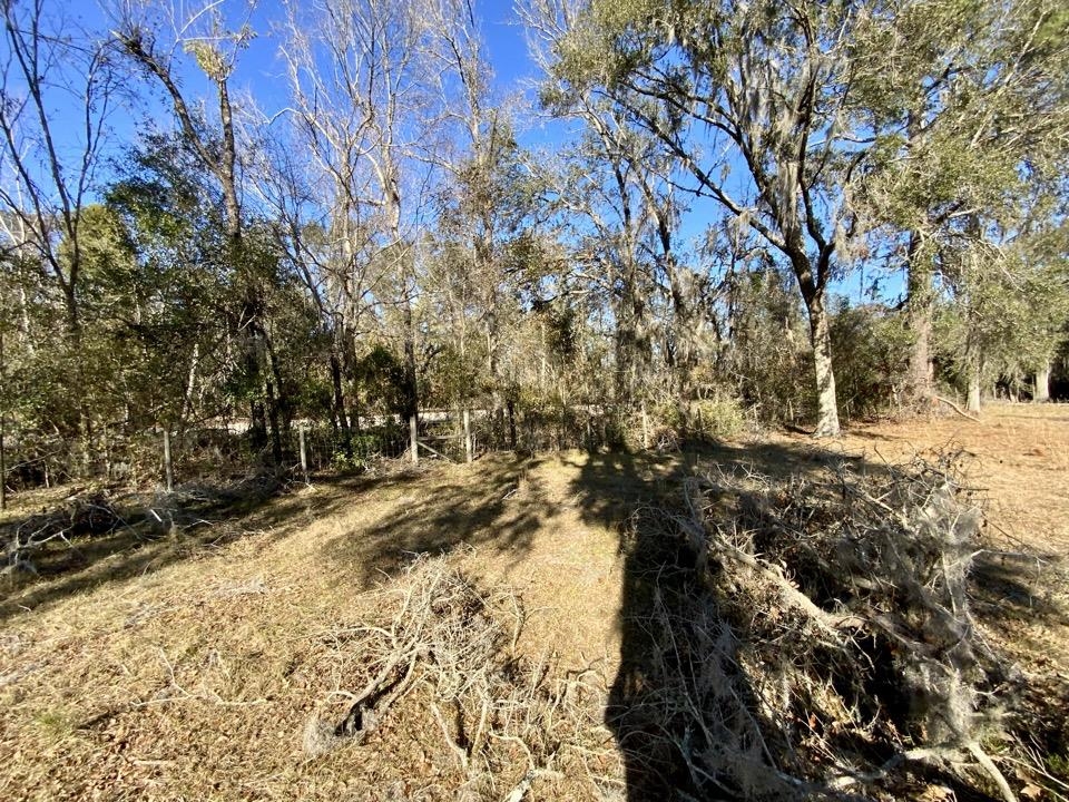 3046 SW Captain Brown Road, Madison, Florida image 24