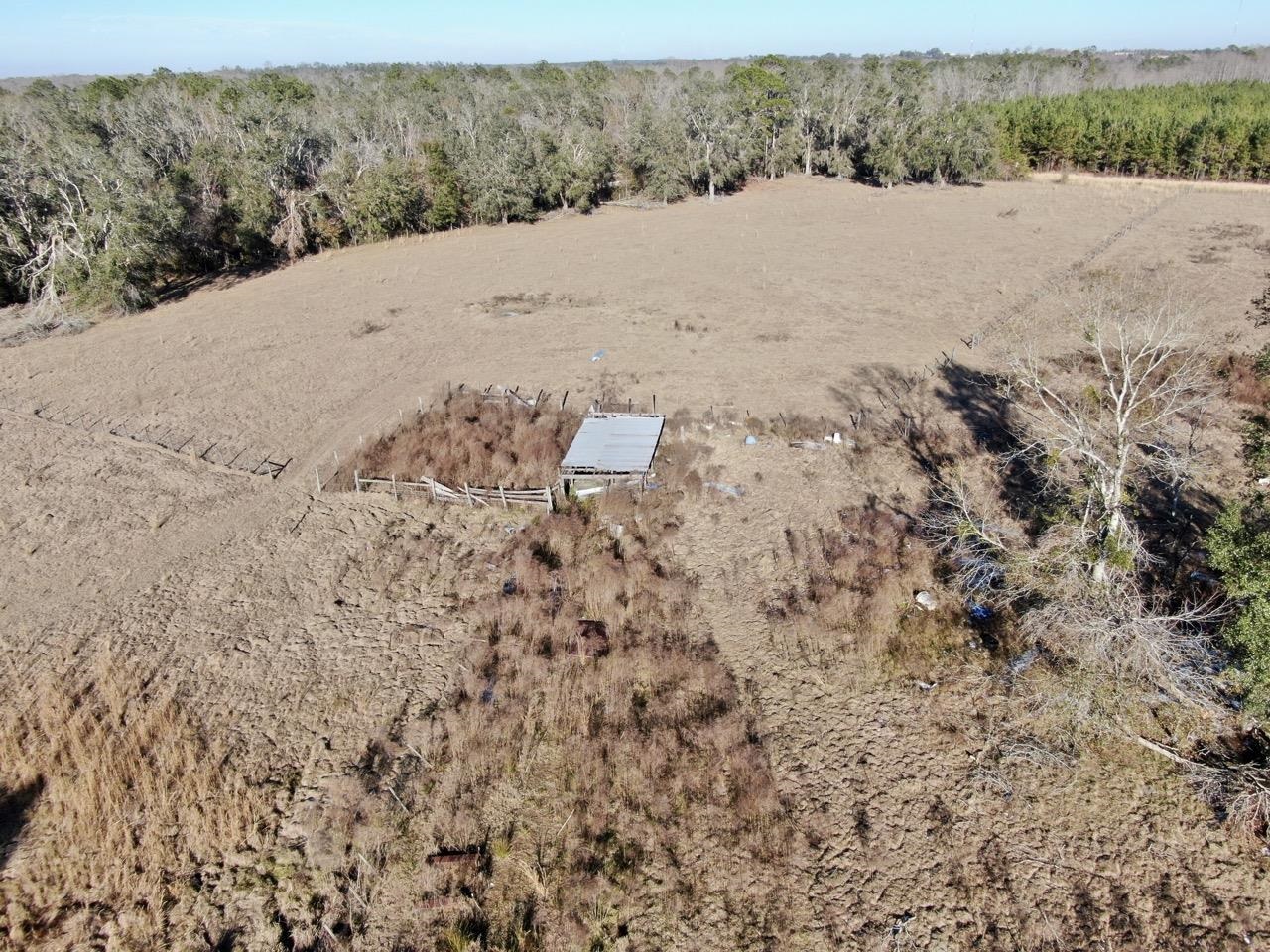 3046 SW Captain Brown Road, Madison, Florida image 27
