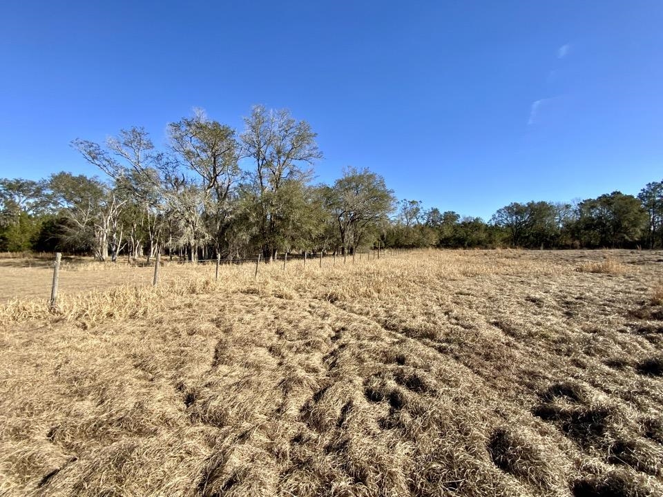 3046 SW Captain Brown Road, Madison, Florida image 29