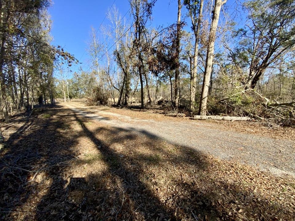 3046 SW Captain Brown Road, Madison, Texas image 4