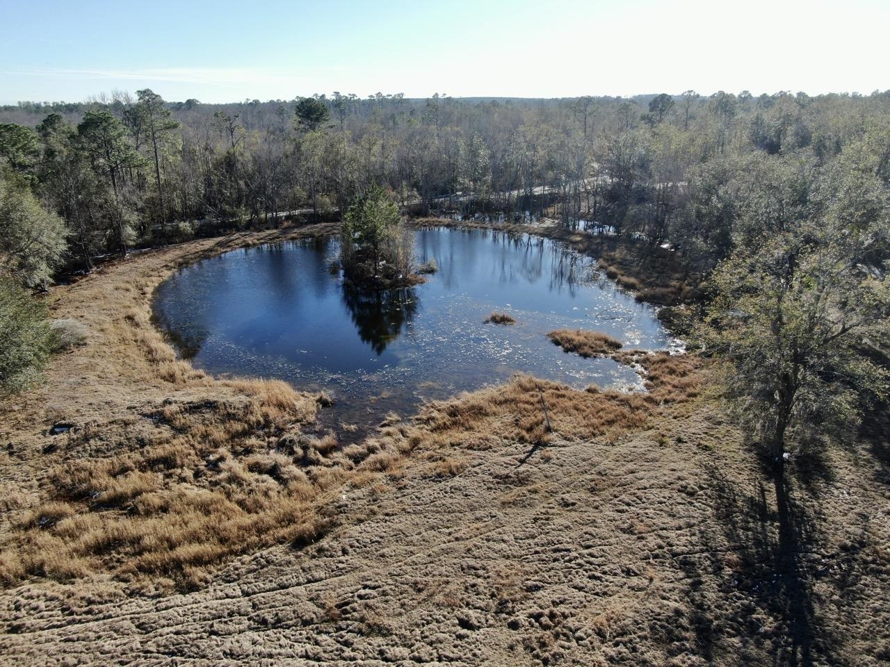 3046 SW Captain Brown Road, Madison, Texas image 40