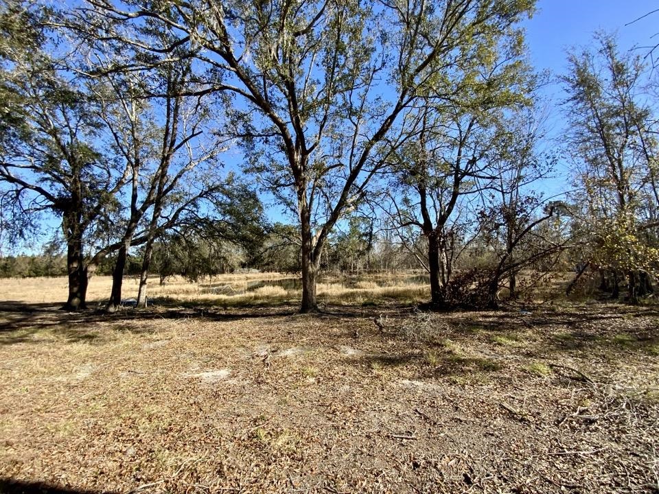 3046 SW Captain Brown Road, Madison, Texas image 6