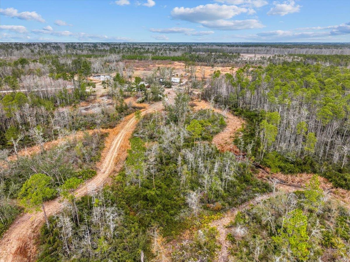 3220 Albert Hendry Road, Greenville, Florida image 13