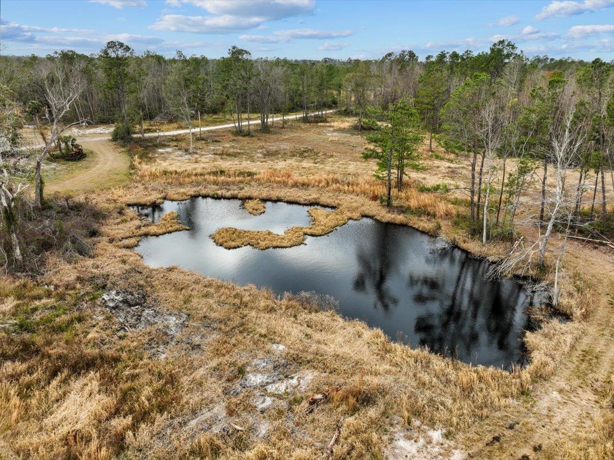 3220 Albert Hendry Road, Greenville, Florida image 20