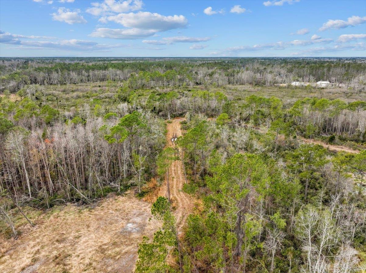 3220 Albert Hendry Road, Greenville, Florida image 5