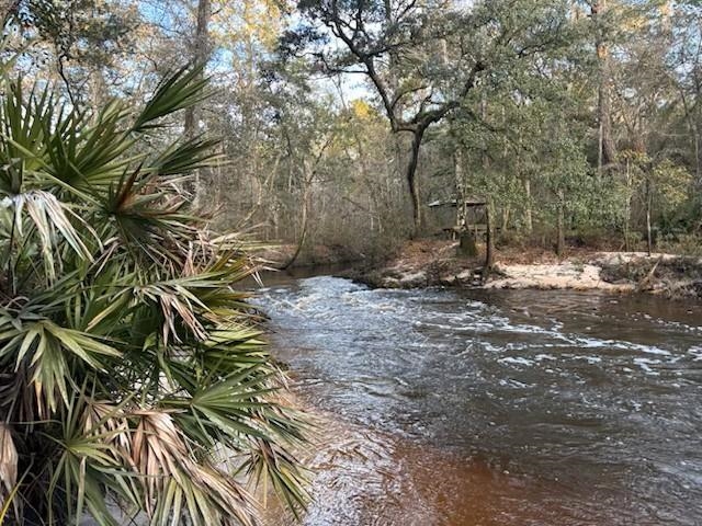 W Osprey Lane, Monticello, Florida image 1