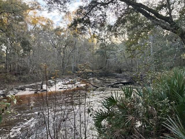 W Osprey Lane, Monticello, Florida image 2