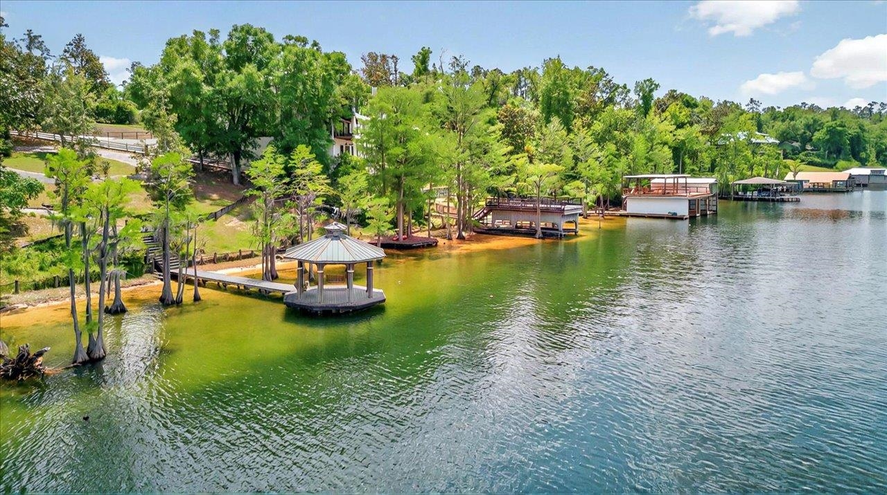 333 Compass Lake Drive, Alford, Florida image 3
