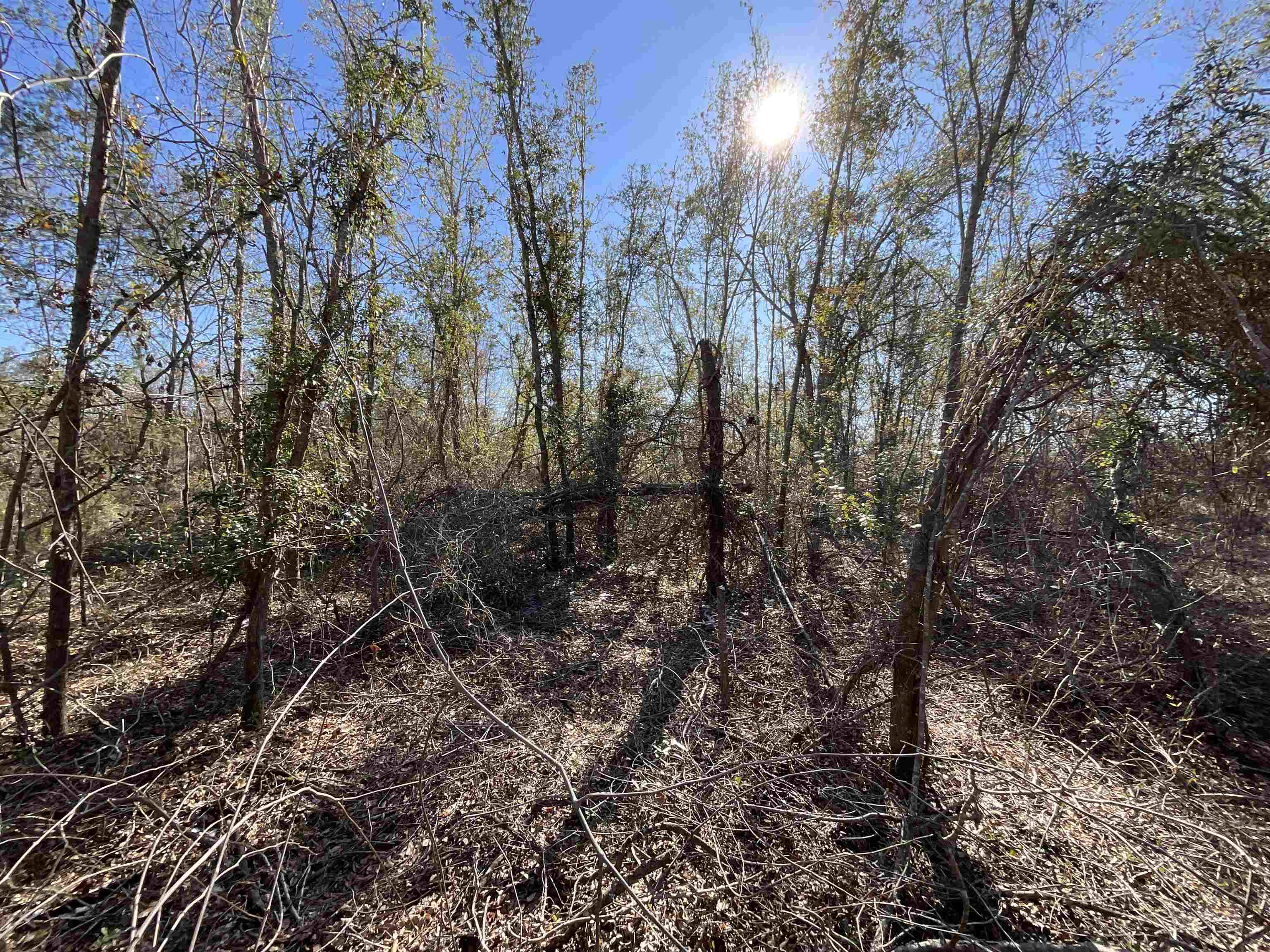 Vacant SE Midway Church Road, Lee, Florida image 14