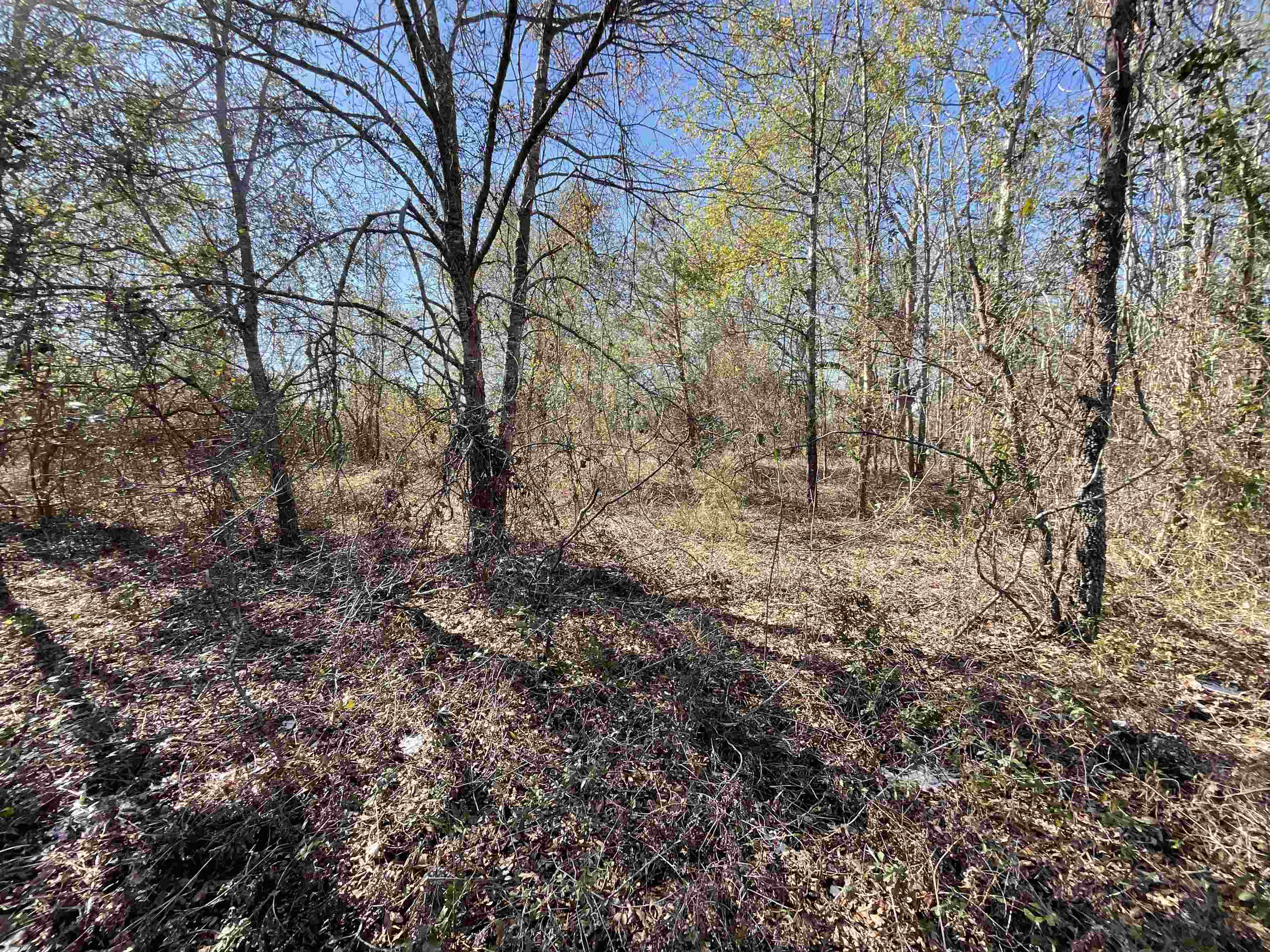 Vacant SE Midway Church Road, Lee, Florida image 17