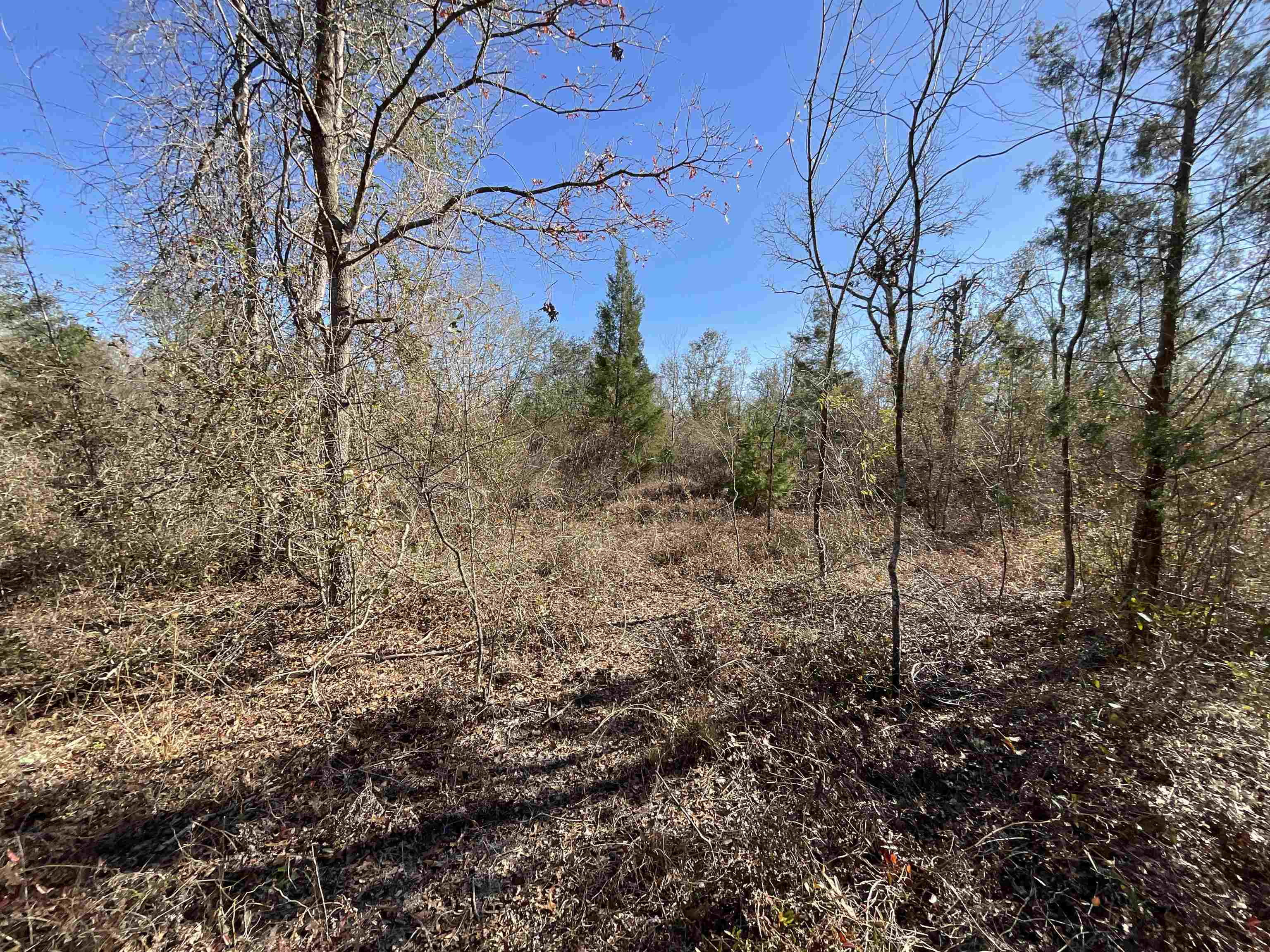 Vacant SE Midway Church Road, Lee, Florida image 31