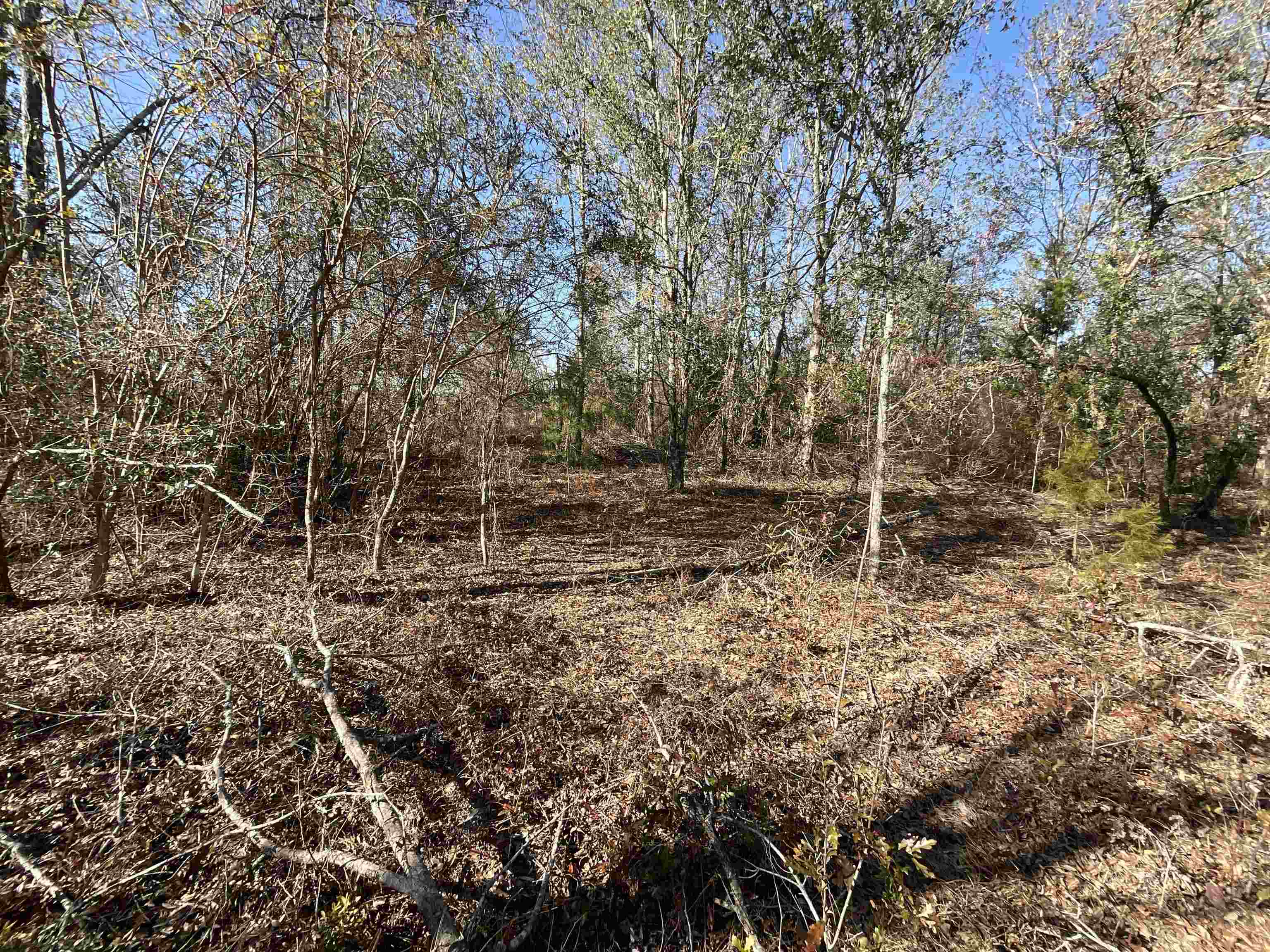 Vacant SE Midway Church Road, Lee, Florida image 32