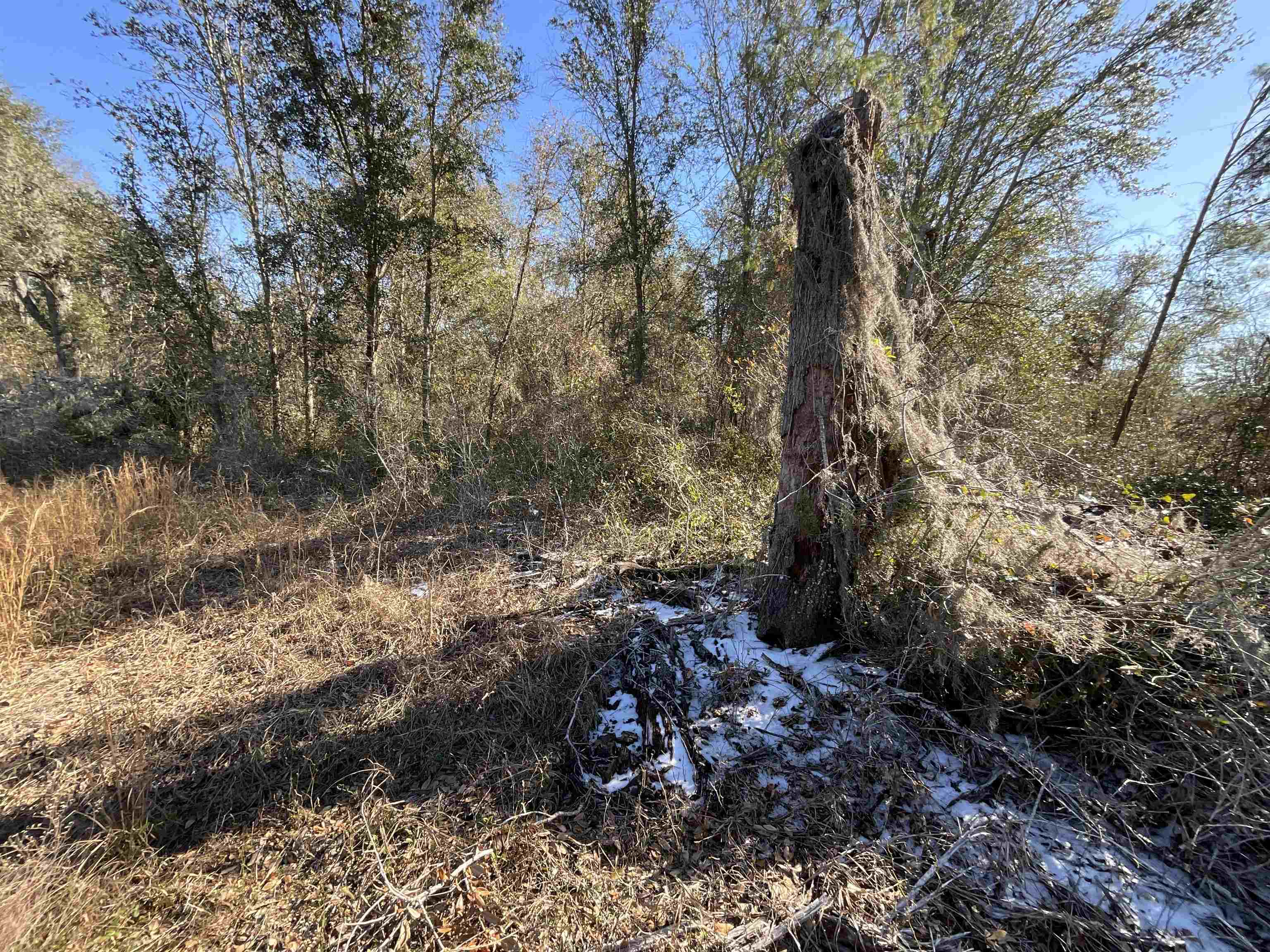 Vacant SE Midway Church Road, Lee, Florida image 37