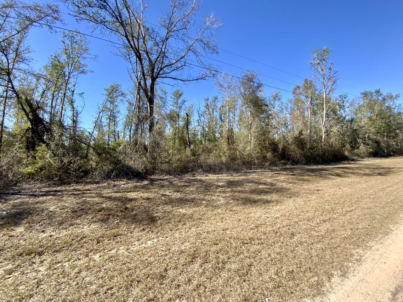 Vacant SE Olustee Drive, Lee, Texas image 1