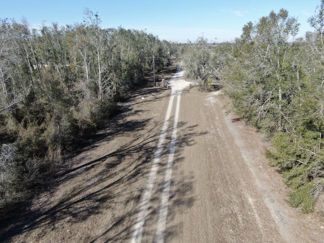 Vacant SE Olustee Drive, Lee, Texas image 10