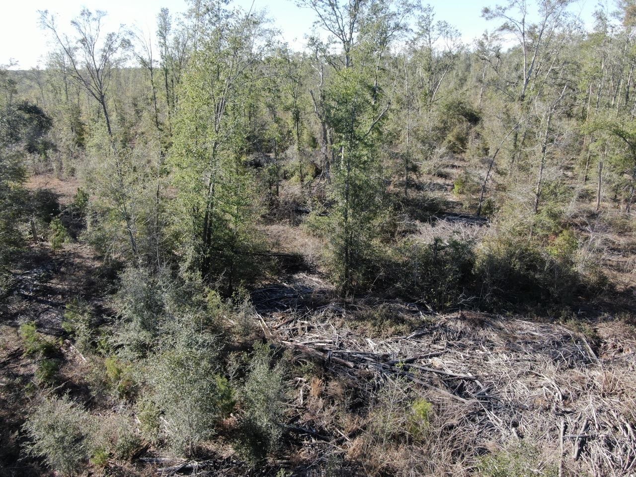 Vacant SE Olustee Drive, Lee, Texas image 11