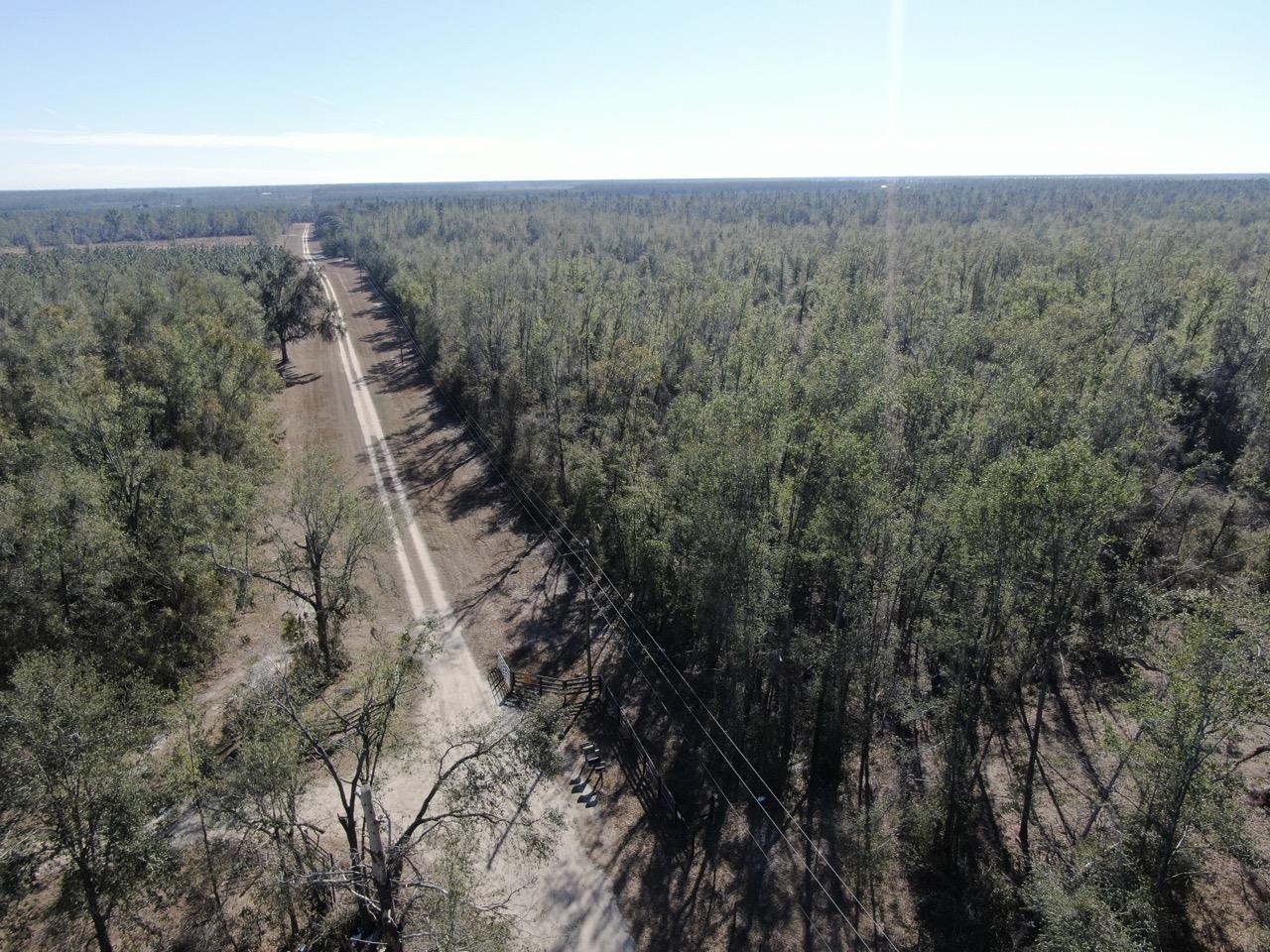 Vacant SE Olustee Drive, Lee, Texas image 12