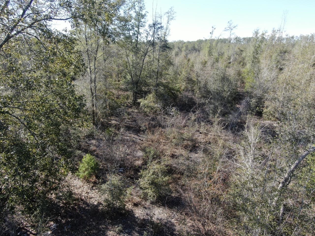 Vacant SE Olustee Drive, Lee, Texas image 13