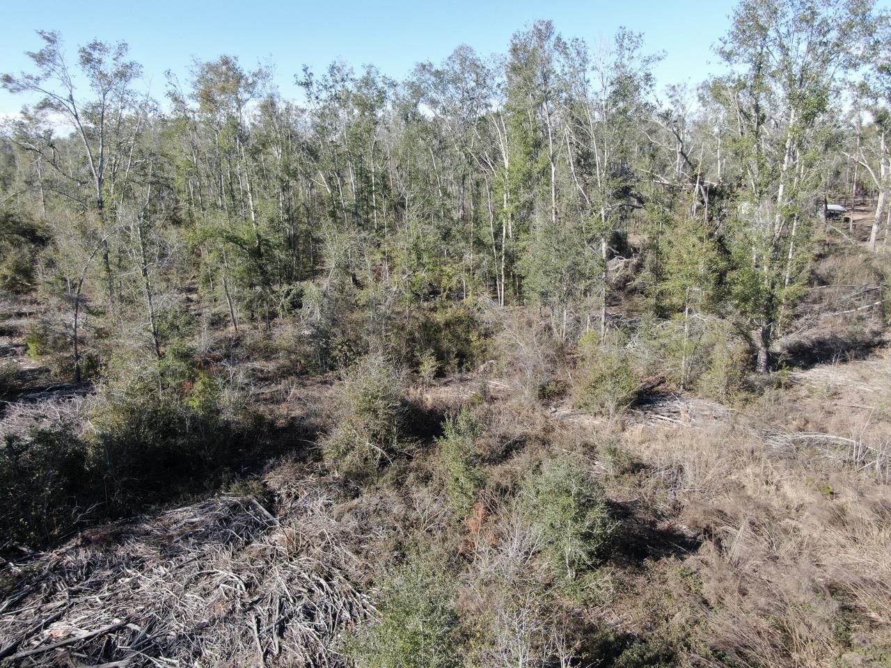 Vacant SE Olustee Drive, Lee, Texas image 15