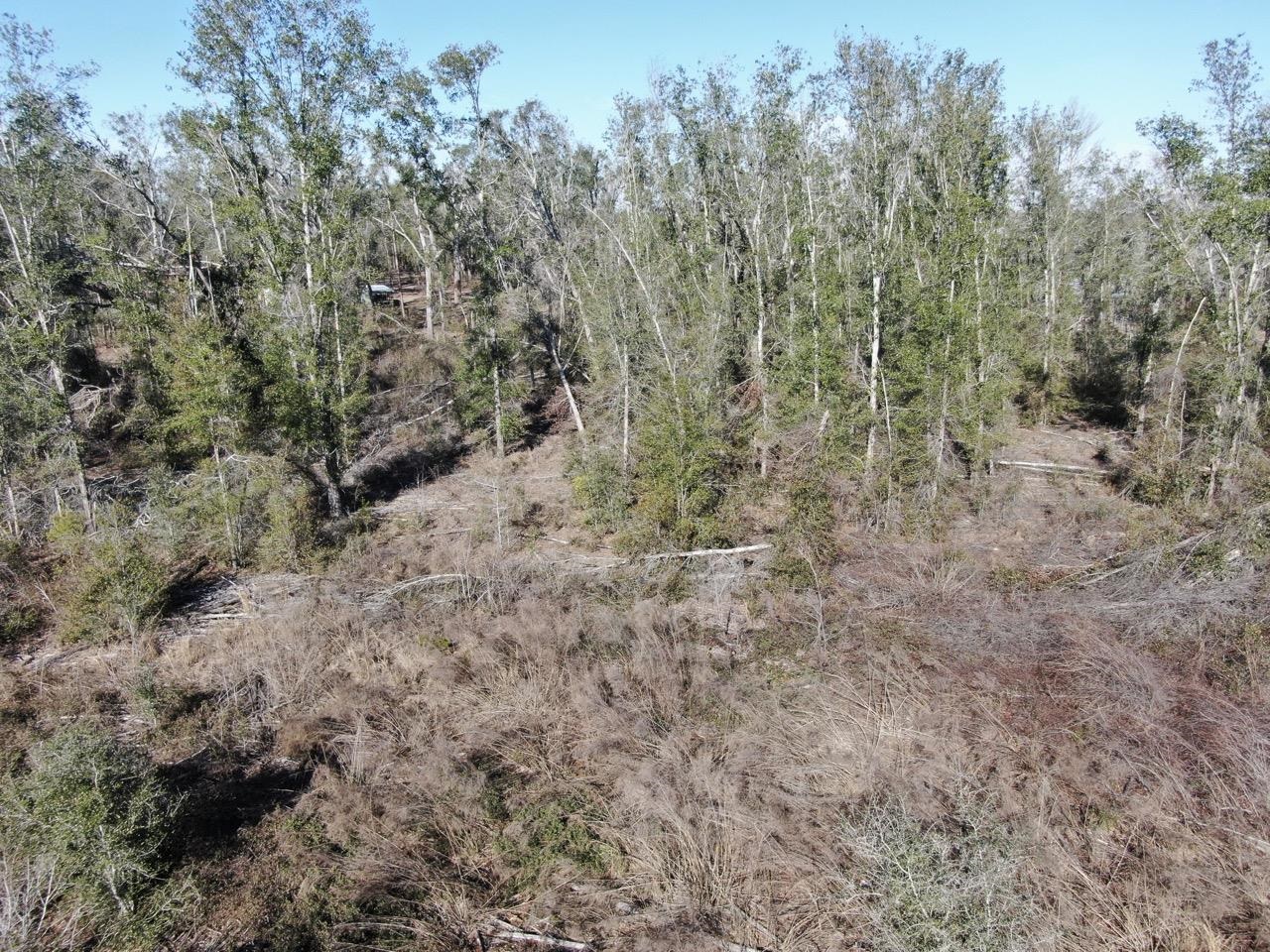 Vacant SE Olustee Drive, Lee, Texas image 17