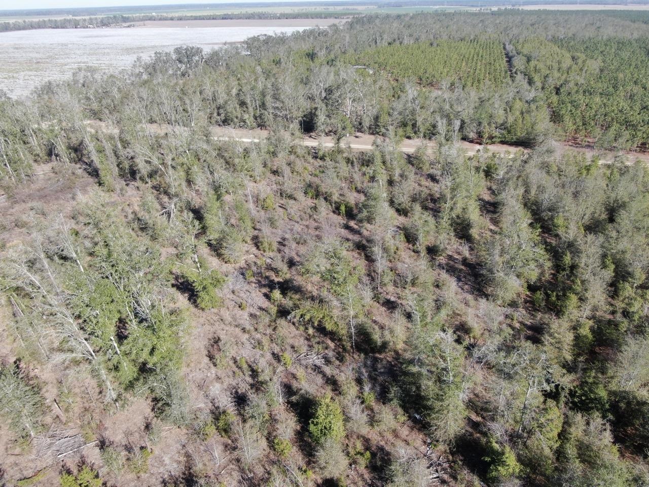 Vacant SE Olustee Drive, Lee, Texas image 18