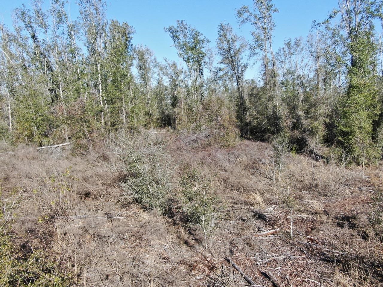 Vacant SE Olustee Drive, Lee, Texas image 19