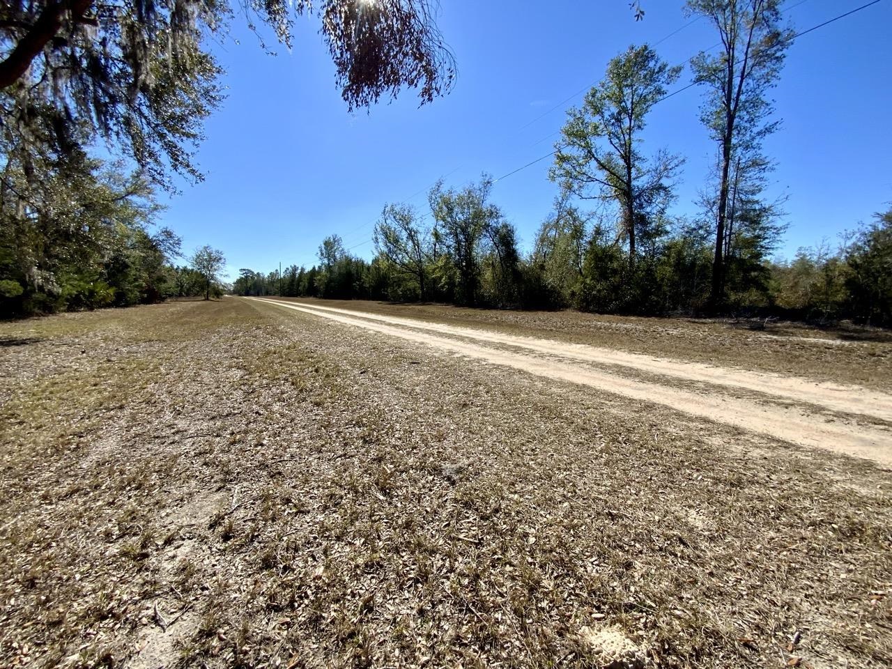 Vacant SE Olustee Drive, Lee, Texas image 2