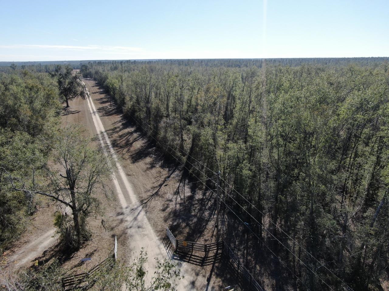 Vacant SE Olustee Drive, Lee, Texas image 21