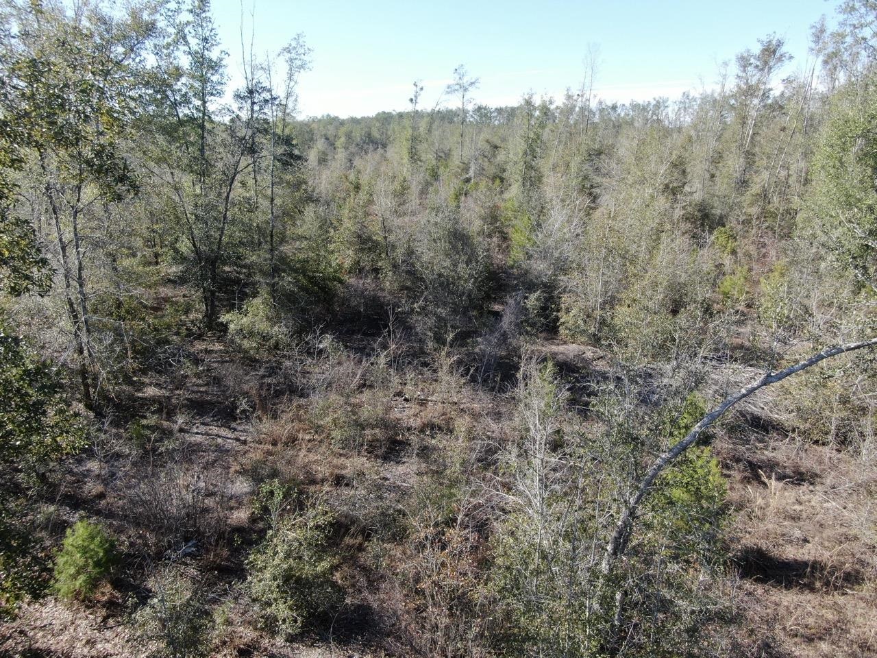 Vacant SE Olustee Drive, Lee, Texas image 26