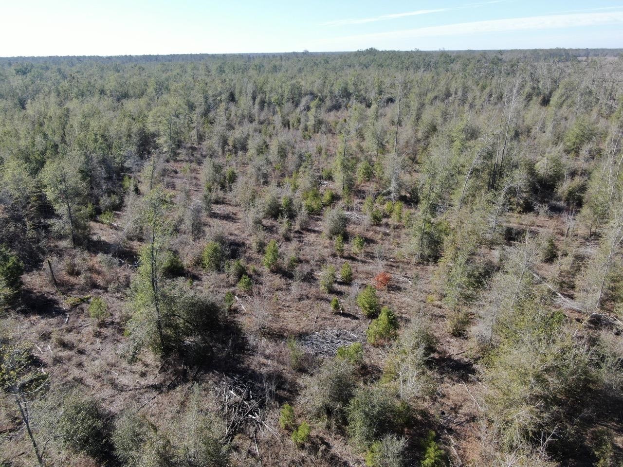 Vacant SE Olustee Drive, Lee, Texas image 28