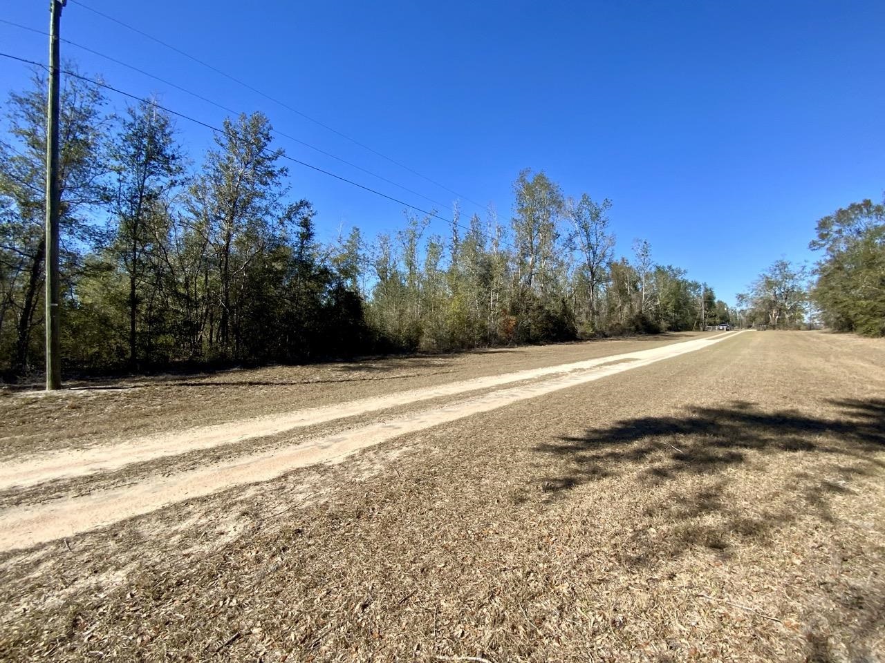 Vacant SE Olustee Drive, Lee, Texas image 3