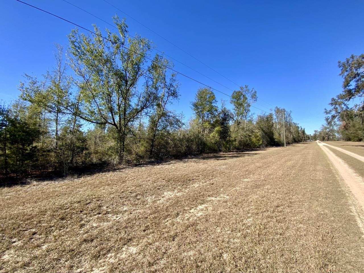 Vacant SE Olustee Drive, Lee, Texas image 4