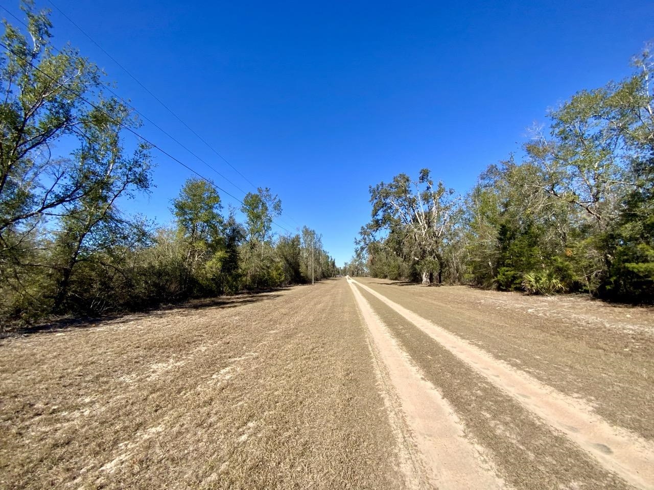 Vacant SE Olustee Drive, Lee, Texas image 5