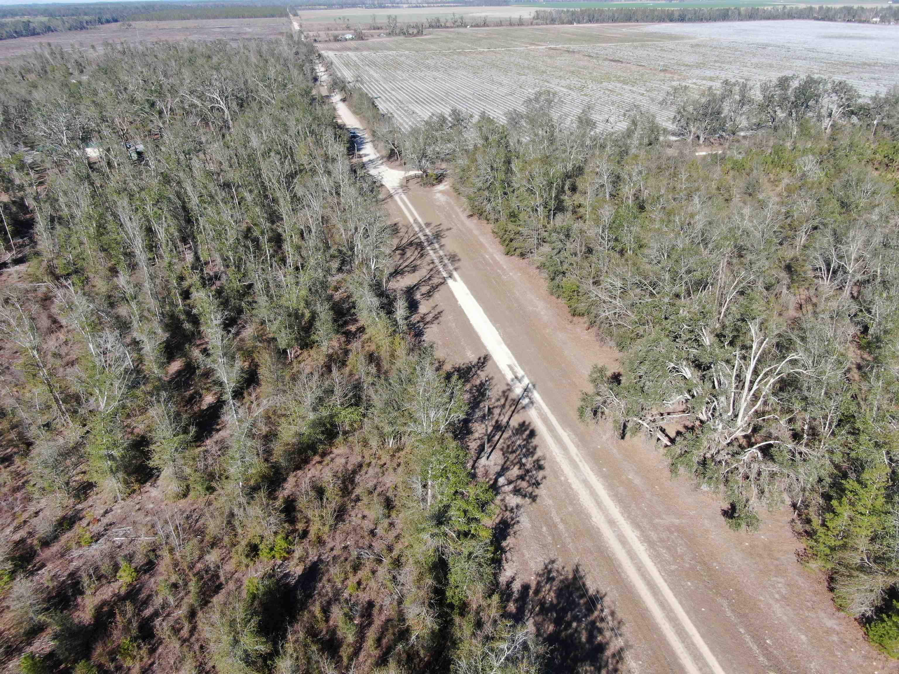 Vacant SE Olustee Drive, Lee, Texas image 9