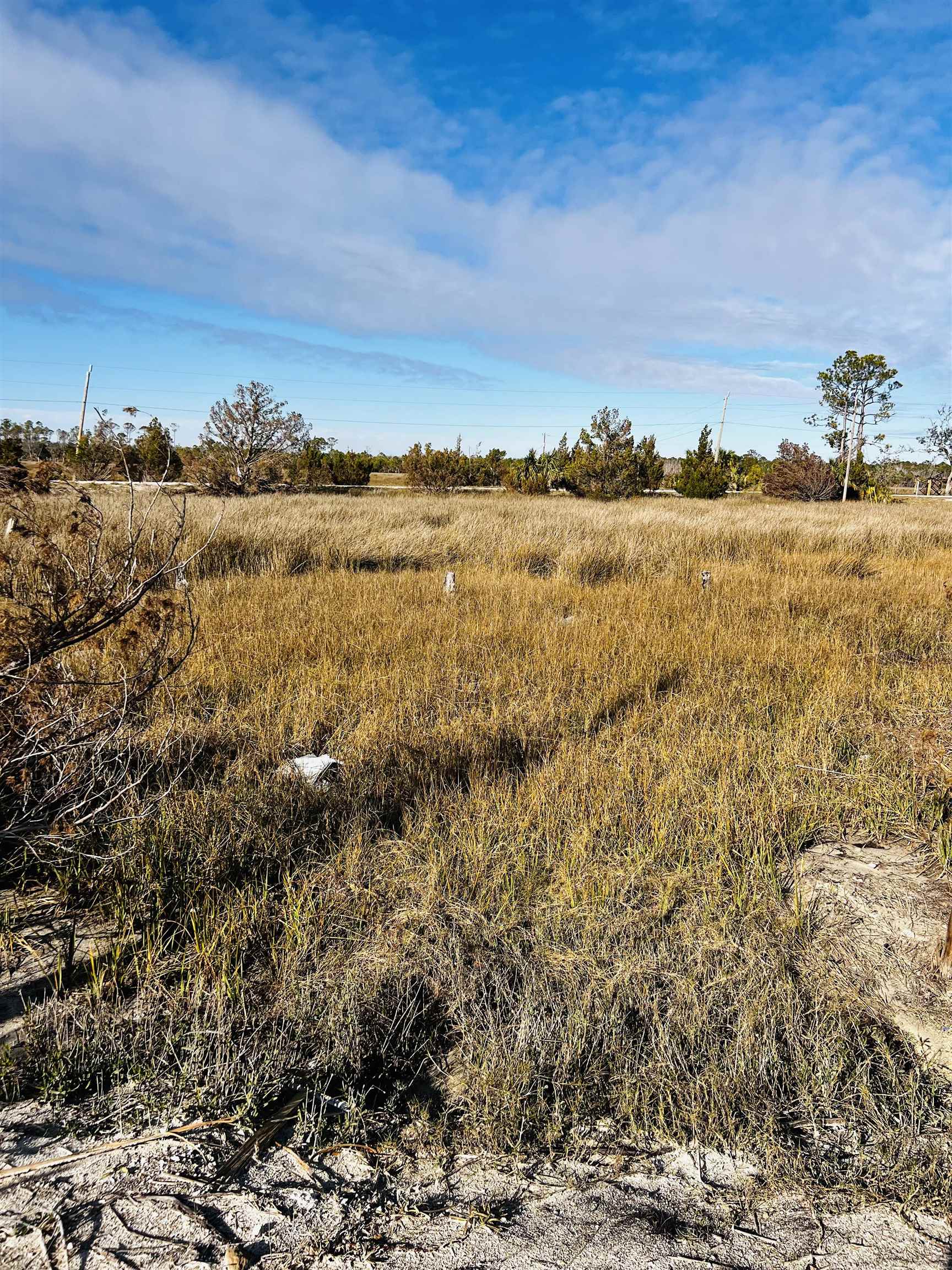 000 Ezell Beach Road, Keaton Beach, Texas image 2