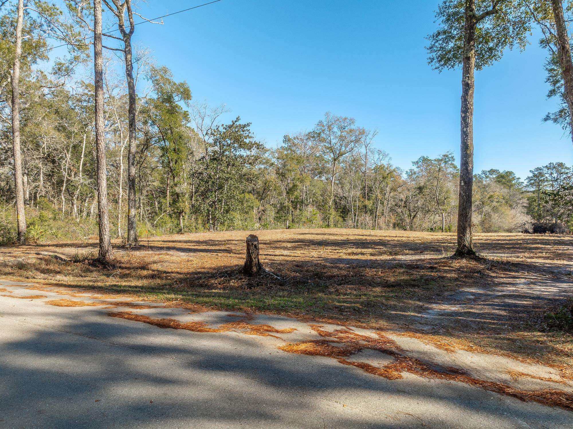 233 Seminole Lane, Sopchoppy, Florida image 3