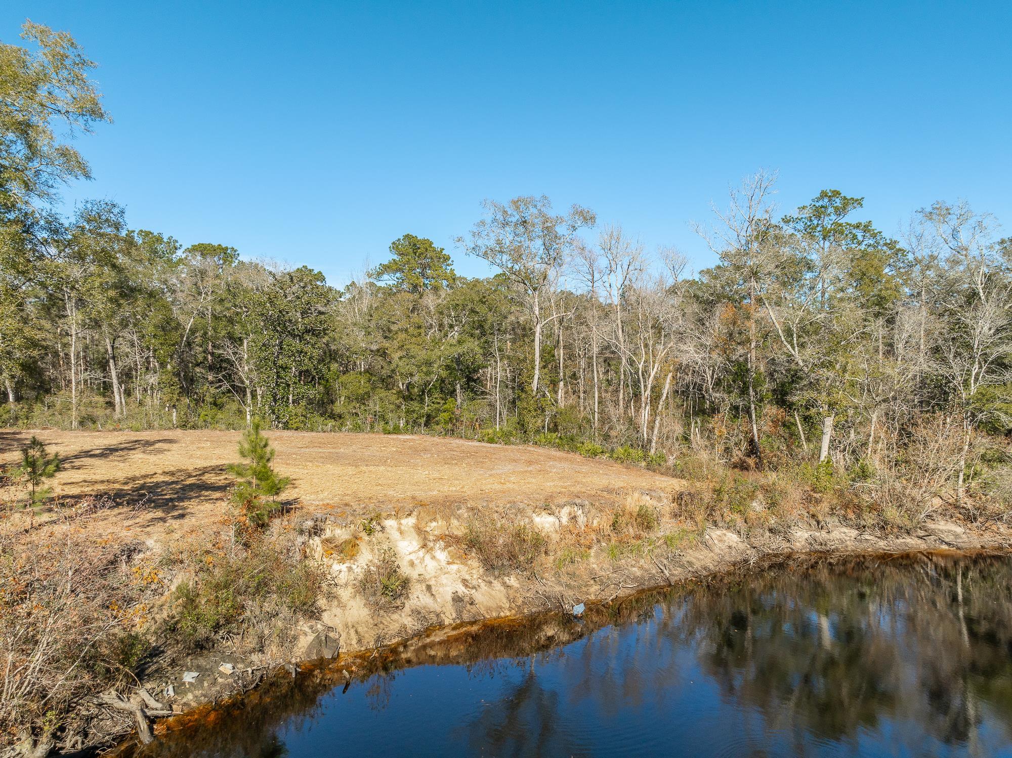 233 Seminole Lane, Sopchoppy, Florida image 5