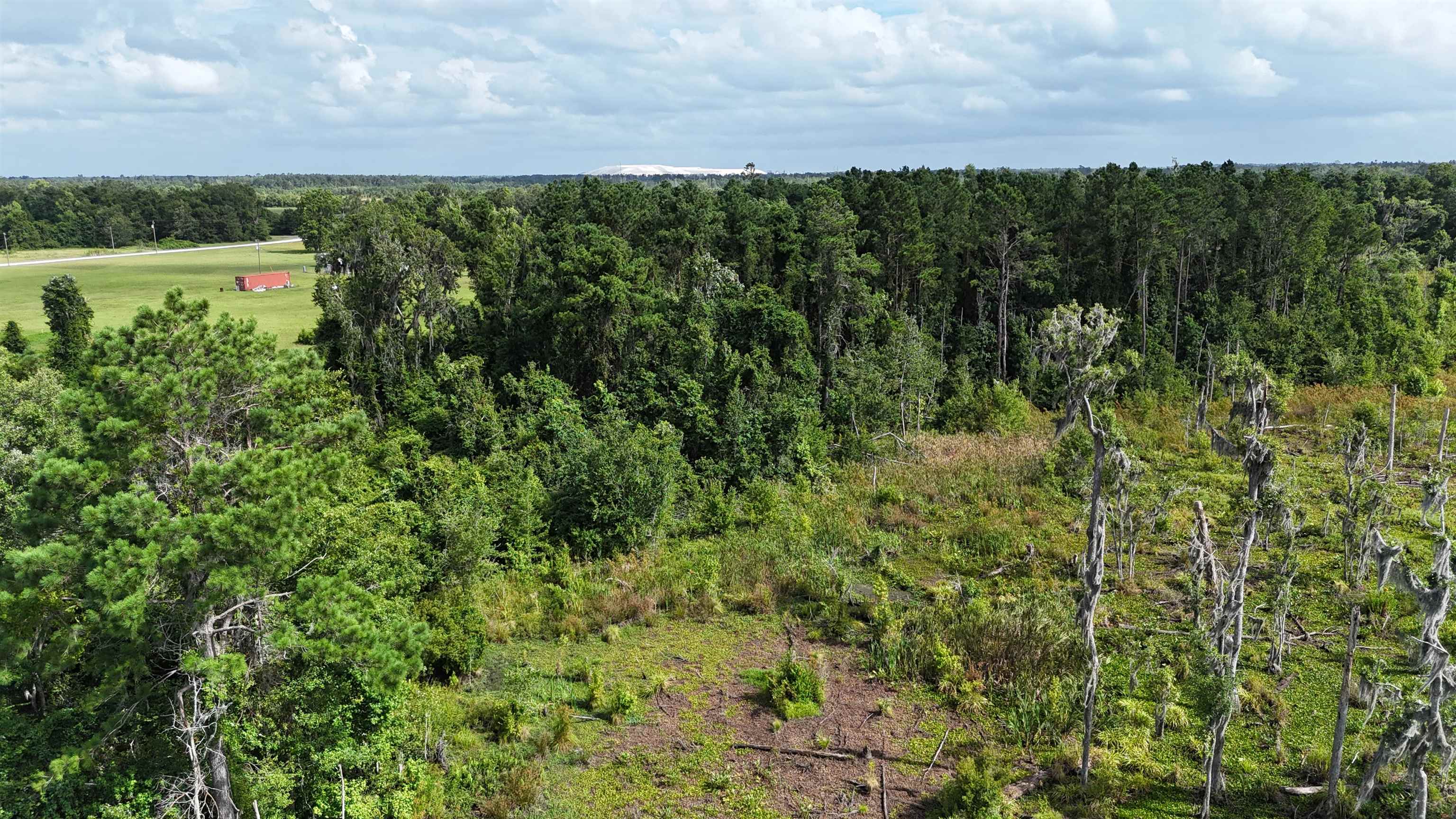 Vacant SE Cr 132, White Springs, Florida image 10