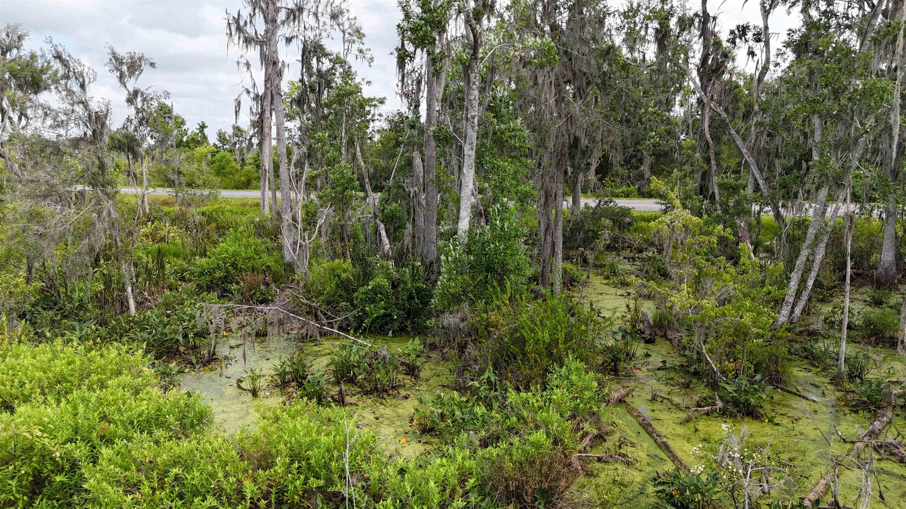 Vacant SE Cr 132, White Springs, Florida image 11