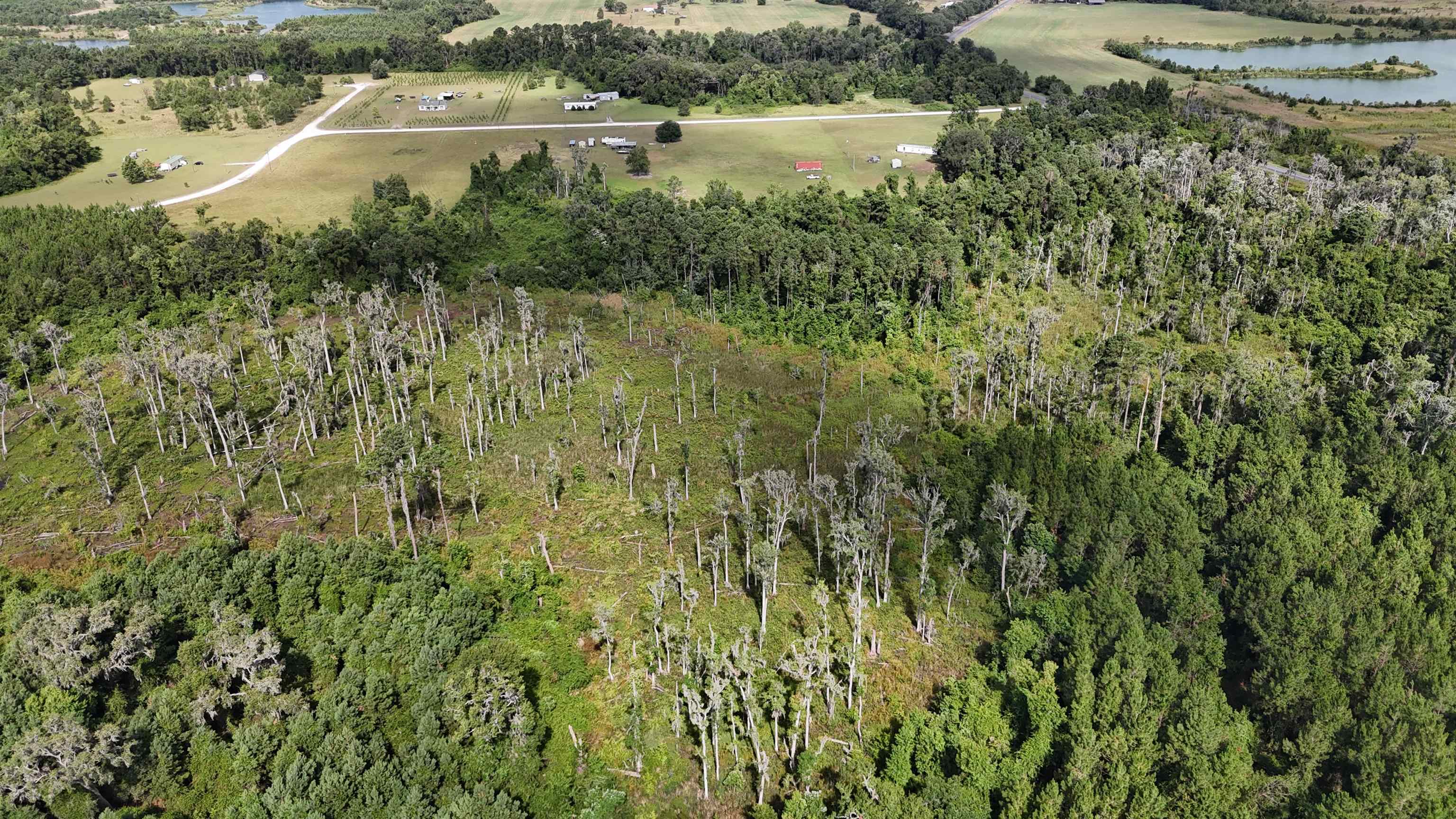 Vacant SE Cr 132, White Springs, Florida image 14