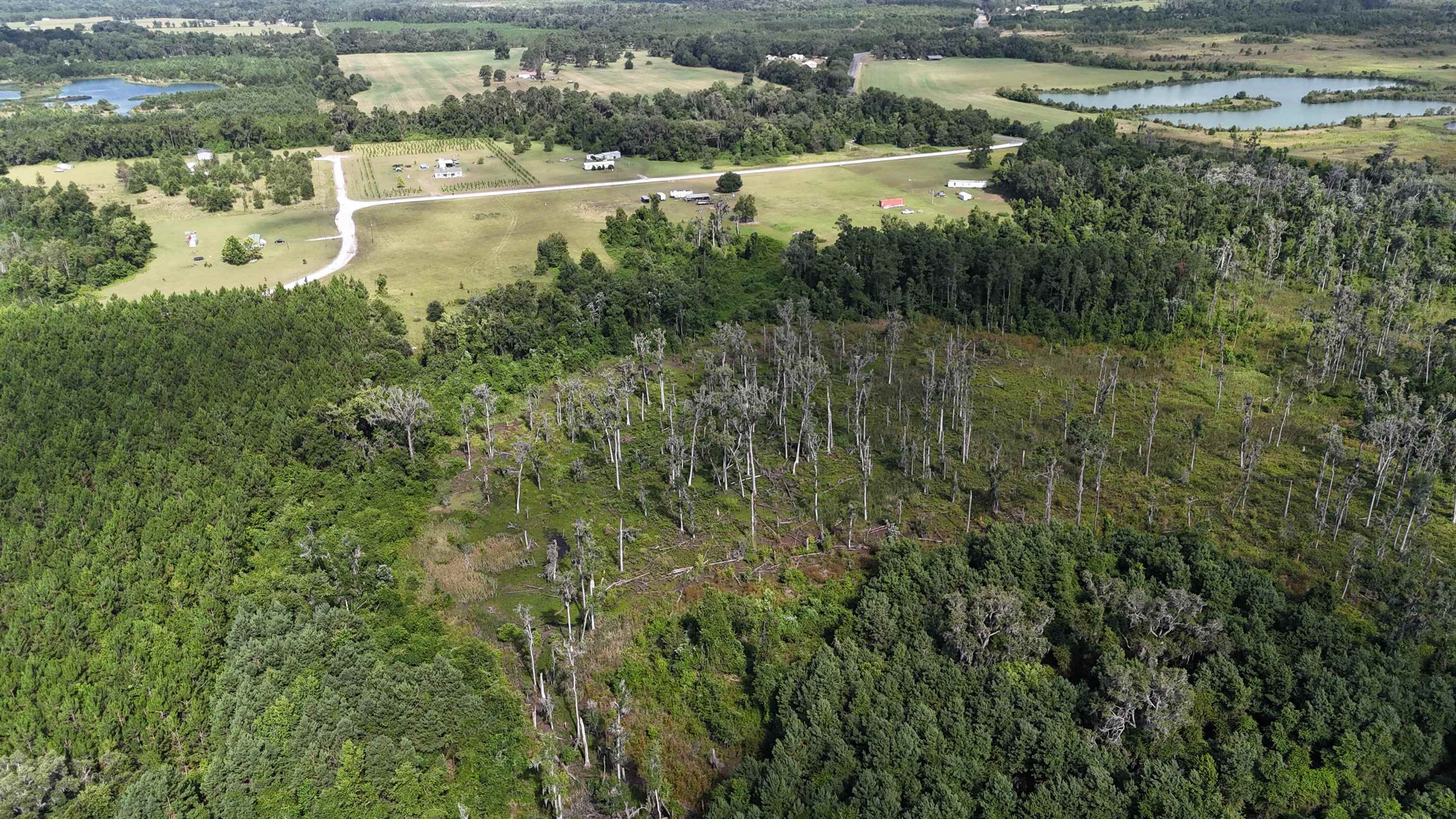 Vacant SE Cr 132, White Springs, Florida image 20